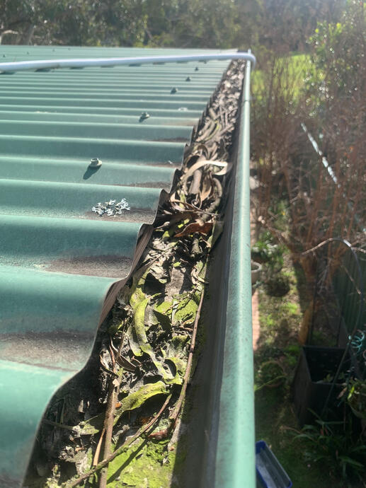 Gutter Cleaning